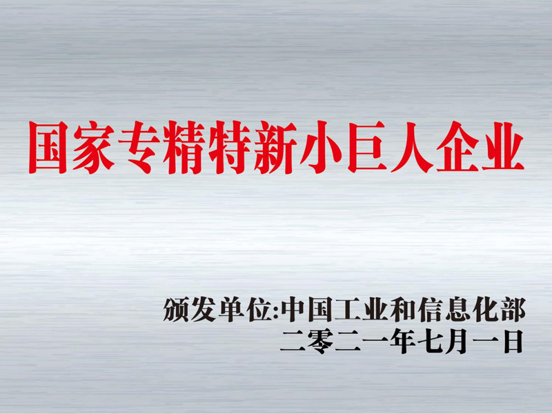 National Specialized Special New Small Giant Enterprise National Specialized Special New Small Giant Enterprise